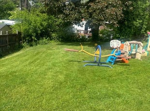 Lawrence R.'s Lawn Care service result