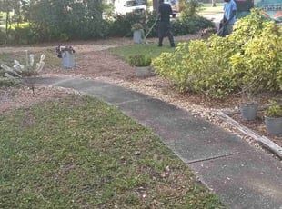 Leaf Removal by Willie Carmichael for Jim S. in Orlando, FL