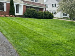 Karl L.'s Lawn Service service result