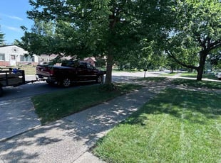 Jennifer H.'s Lawn Service service result