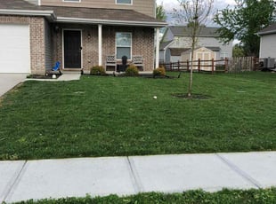 Will R.'s Lawn Mowing service result