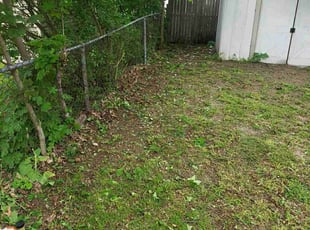 Bush Trimming by Max Ledesma for Vicky C. in Wyoming, MI