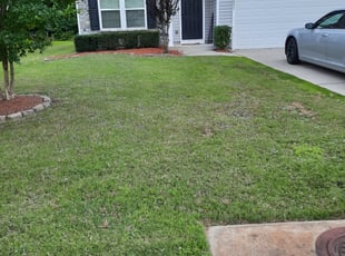 Bush Trimming by David Harris for Brittany S. in Newport News, VA