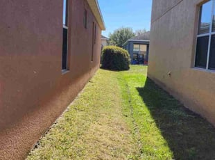 Andrew E.'s Lawn Care service result
