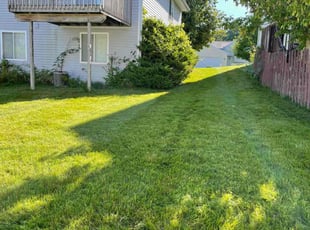 Natacha R.'s Lawn Mowing Service service result