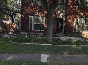 Dean H.'s Yard Cutting service result