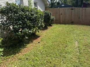 Bush Trimming by Xavier Perry for Claude W. in Decatur, GA
