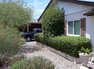 Bush Trimming by Raul Blanco for Ryan V. in Scottsdale, AZ