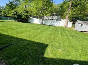 Leonard S.'s Lawn Mowing service result