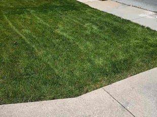 Cathy J.'s Lawn Service service result