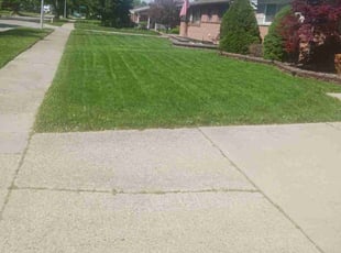 Joshua B.'s Lawn Maintenance service result