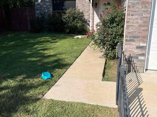 Pat F.'s Lawn Service service result
