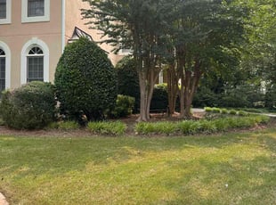 Bush Trimming by Fidel Umanzor for ron s. in Roswell, GA