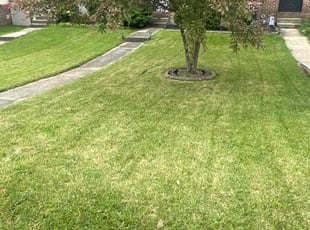 Andrea L.'s Lawn Mowing Service service result