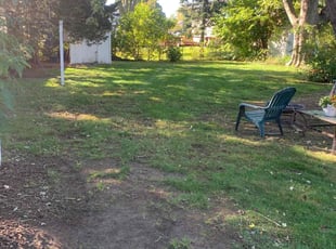 Leaf Removal by David Cardillo for Michelle C. in East Providence, RI