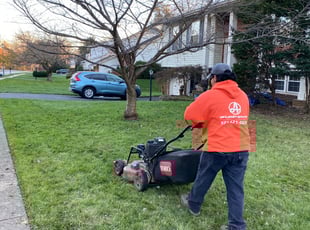 Leaf Removal by Angel P. for Kelly C. in Burke, VA