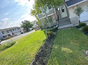 Liz C.'s Lawn Mowing service result