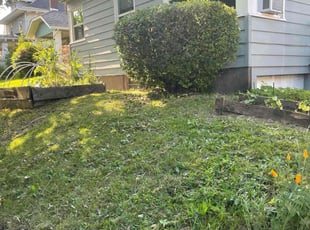 Bush Trimming by Tyce Blankenship for Diana W. in Portland, OR