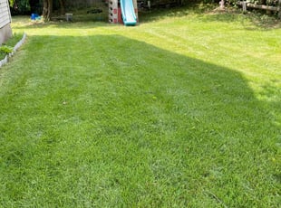 Eric C.'s Lawn Mowing Service service result