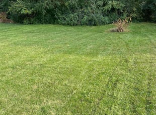 Margaret A.'s Lawn Service service result