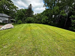 Park B.'s Lawn Service service result