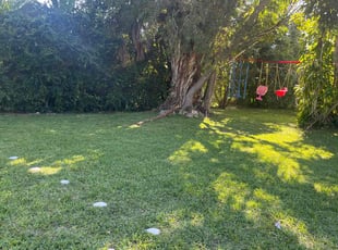 Msteven B.'s Lawn Care service result