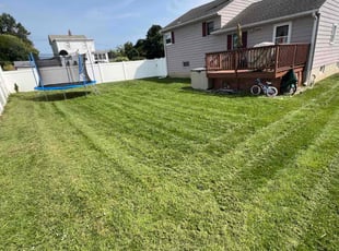 Pat L.'s Lawn Mowing Service service result
