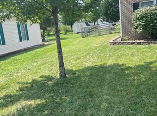 Luke H.'s Lawn Mowing Service service result
