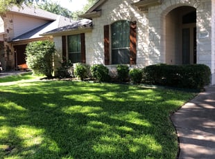 Bush Trimming by Jose Santiago for Randi S. in Austin, TX