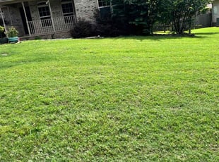 Latasha G.'s Lawn Service service result