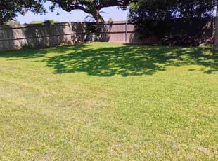 Demetrios H.'s Lawn Service service result