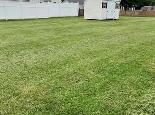 Brandon G.'s Lawn Service service result