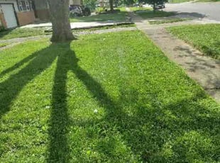 Christi K.'s Lawn Mowing service result