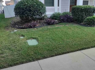 Ken Z.'s Yard Cutting service result
