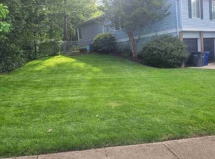 Tiffany J.'s Lawn Mowing Service service result