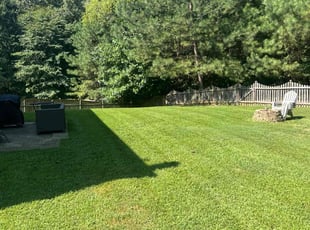 Rori L.'s Yard Cutting service result