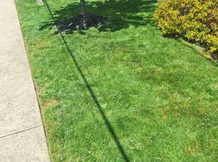 Bob B.'s Lawn Care service result