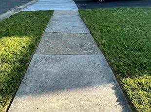 Donna J.'s Lawn Mowing Service service result