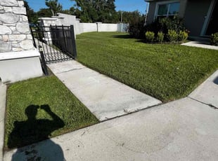 Etienne B.'s Yard Cutting service result