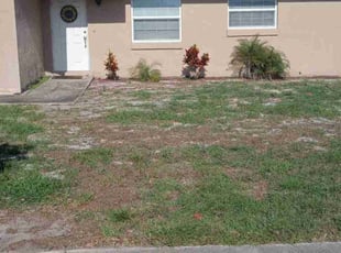 Weeding by Shane Ray for Renee D. in Titusville, FL