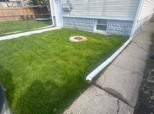 Sandra M.'s Yard Cutting service result