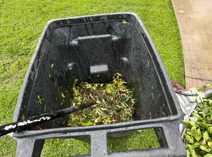 Bush Trimming by William Perez for Tom C. in Lawrenceville, GA