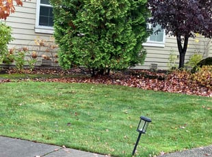 Cindy c.'s Grass Cutting service result