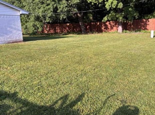 Jamie M.'s Lawn Mowing service result