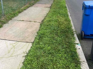 Joi B.'s Yard Cutting service result
