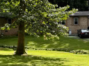 Ronald W.'s Lawn Care service result