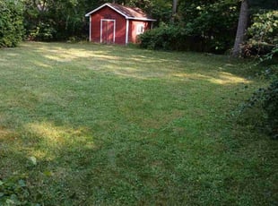 John C.'s Lawn Service service result
