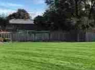 Geri C.'s Lawn Mowing service result