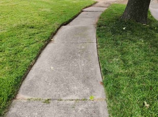 Samuel M.'s Lawn Service service result