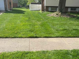 CAROLE A.'s Grass Cutting service result